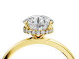 Yellow gold Round Solitaire Engagement Ring with Cathedral Band and Four-Prong Setting_25