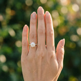 Yellow gold Round Solitaire Pavé Band Prong Setting Ring_12