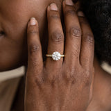 Yellow gold Round Solitaire Pavé Band Prong Setting Ring_14