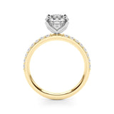 10K Yellow Gold 3.05 Carat E VVS2 Round Solitaire Pavé Diamond Engagement Ring with Four-Prong Setting