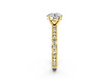Yellow gold Round Solitaire with Pavé Band and Four-Prong Setting_313