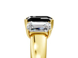 Yellow gold Three-Stone Fancy Black Emerald Cut Cut Diamond Ring with Channel Set Band and Four-Prong Setting_5