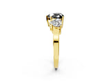 Yellow gold Three-Stone Fancy Black Heart Cut Cut Diamond Engagement Ring with Flat Band and Four-Prong Setting_14
