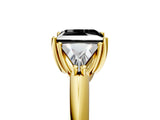 Yellow gold Three-Stone Fancy Black Princess Cut Cut Diamond Ring with Trillion Side Stones and Four-Prong Setting_8