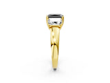 Yellow gold Three-Stone Fancy Black Radiant Cut Cut Diamond Ring with Channel Set Band and Four-Prong Setting_26