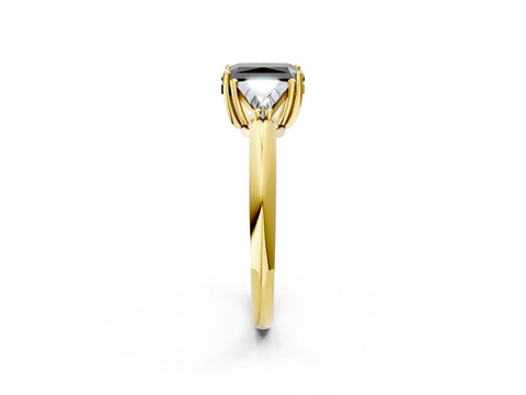 Yellow gold Three-Stone Fancy Black Radiant Cut Cut Diamond Ring with Trillion Side Stones and Four-Prong Setting_5