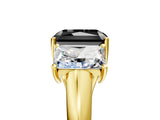 Yellow gold Three-Stone Fancy Black Radiant Cut Diamond Engagement Ring with Prong Setting_8