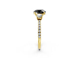 Yellow gold Three-Stone Fancy Black Round Cut Cut Diamond Pavé Band with Prong Setting_41