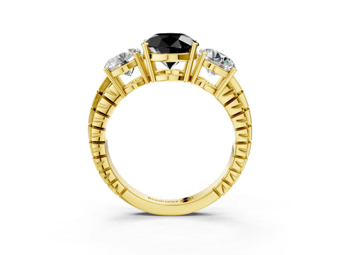 Yellow gold Three-Stone Fancy Black Round Cut Cut Diamond Ring with Channel-Set Band and Prong Setting_3