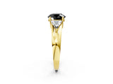 Yellow gold Three-Stone Fancy Black Round Cut Cut Diamond Ring with Trillion Side Stones on a Split Shank Band_2