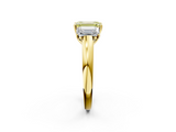 Yellow gold Three-Stone Fancy Yellow Emerald  Cut Diamond Ring with Channel-Set Band and Four-Prong Setting_61