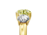Yellow gold Three-Stone Fancy Yellow Round Cut Cut Diamond Ring with Channel Set Band and Four-Prong Setting_29