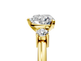 Yellow gold Three-Stone Heart Cut Diamond Solitaire with Prong Setting and Classic Band_75